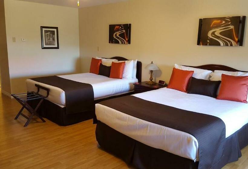 高级工作室, Harmony B&b & Suites