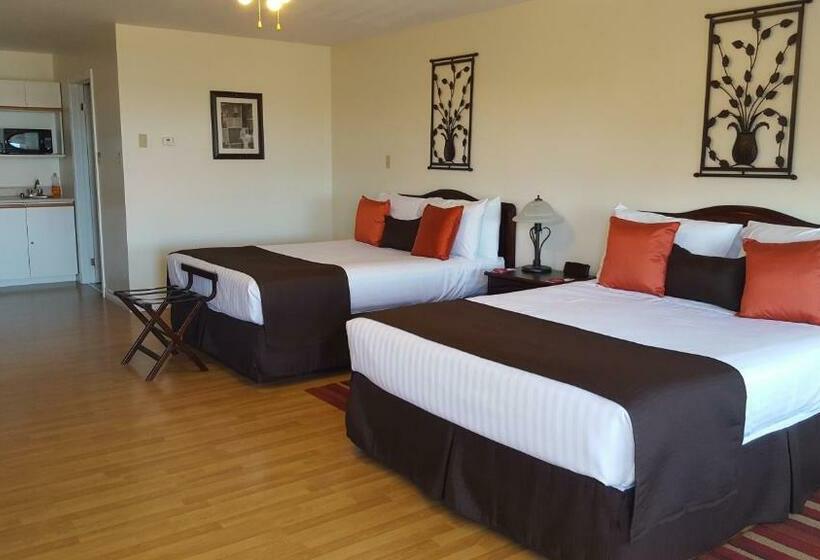 Escritório Superior, Harmony B&b & Suites