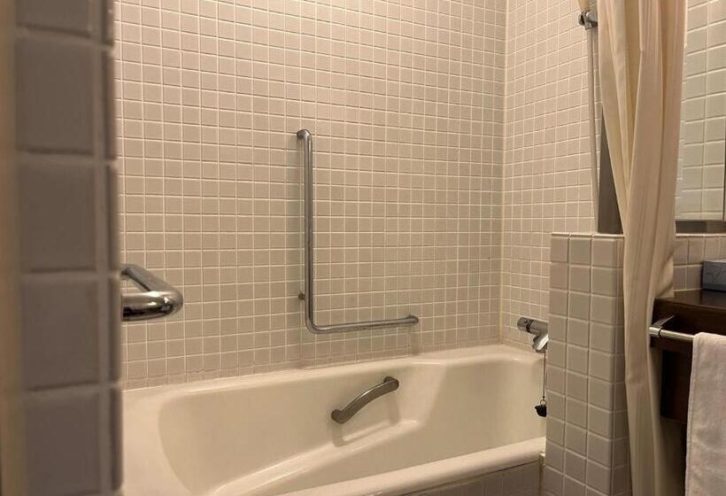 标准间, Laforet Shuzenji