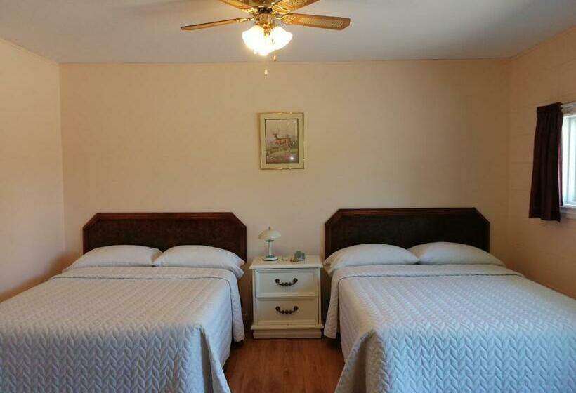 带2个双人床的标准工作室, Motel Belair