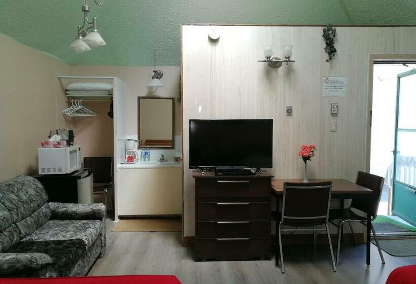 带2个双人床的标准工作室, Motel Belair