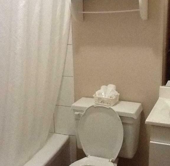 غرفه قياسيه سريرين مزدوجين, Motel Du Parc Masson