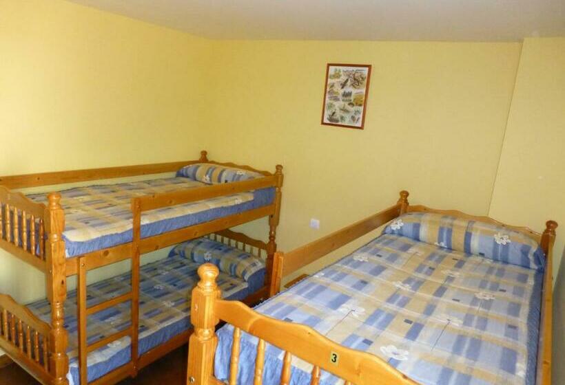 מיטה בחדר משותף, Albergue Turístico Briz