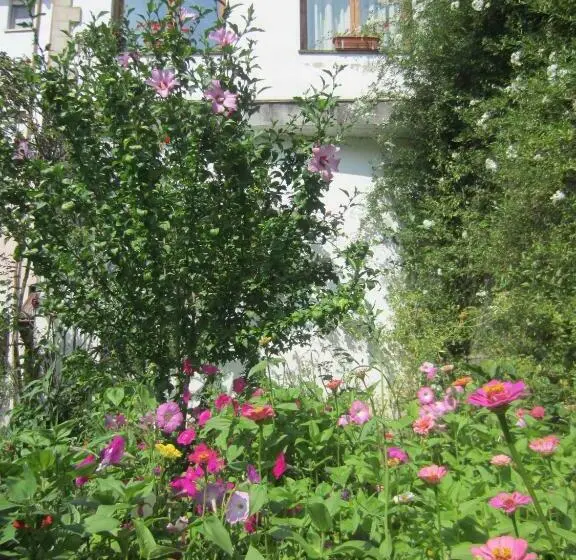 Standard Yhden Hengen Huone, Toscana
