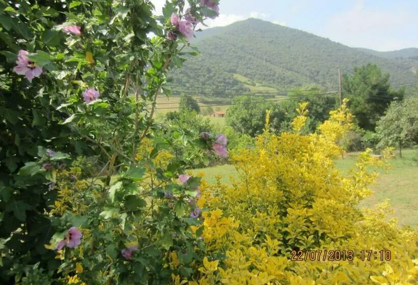 Standard Yhden Hengen Huone, Toscana