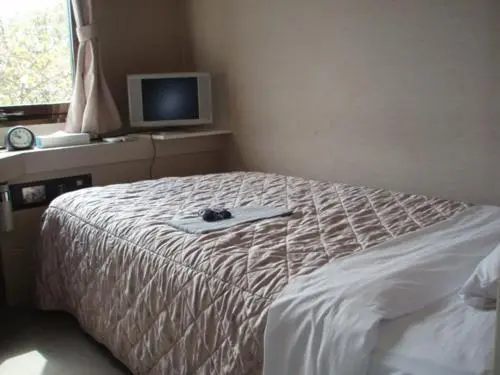 Habitación Estàndard Individual, Jonai