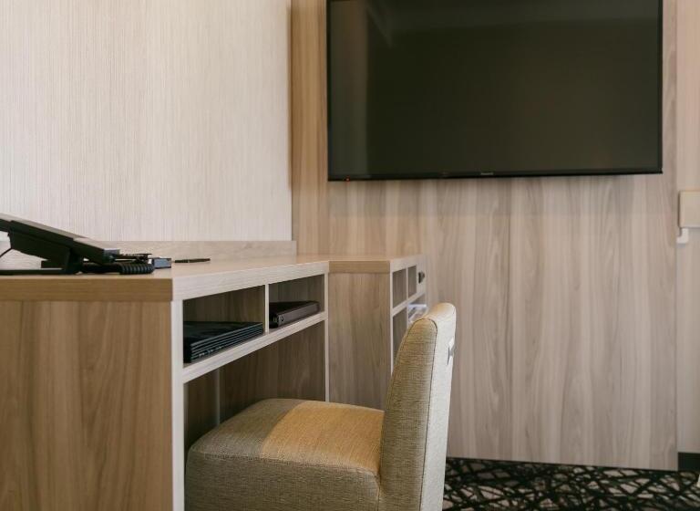اتاق سوپریور, Mystays Kagoshima Tenmonkan Annex