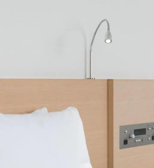 Standard Kolmen Hengen Huone, Jr Kyushu Hotel Miyazaki