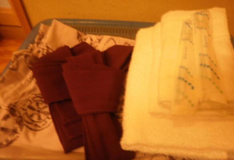 غرفة قياسية, Kakiya Ryokan