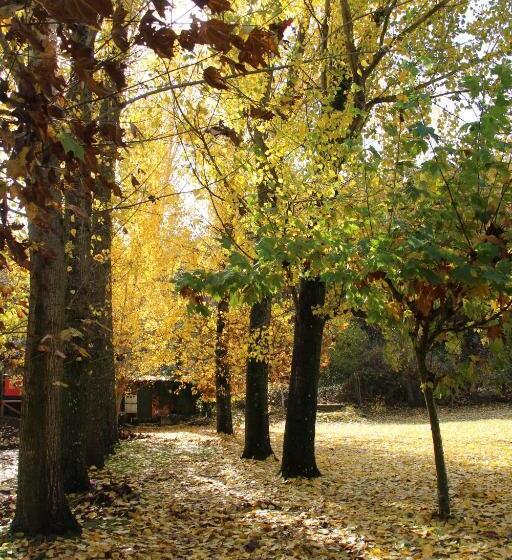 آپارتمان 1 خوابه, Hostel El Lago, Caceres