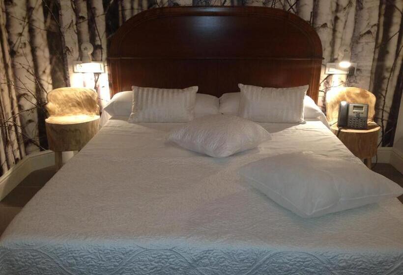 Номер Стандарт Адаптированный для Инвалидов, Can Ribalta