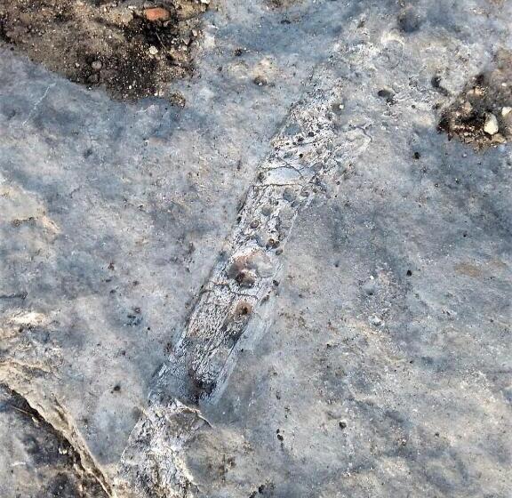 家族用バンガロー, Centro De Naturaleza Cañada Verde El Parque De Naturaleza Con Mas Experiencias De Andalucía