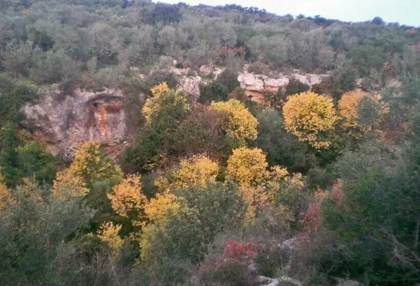 ビュー有りのスタンダードワンルーム, Centro De Naturaleza Cañada Verde El Parque De Naturaleza Con Mas Experiencias De Andalucía