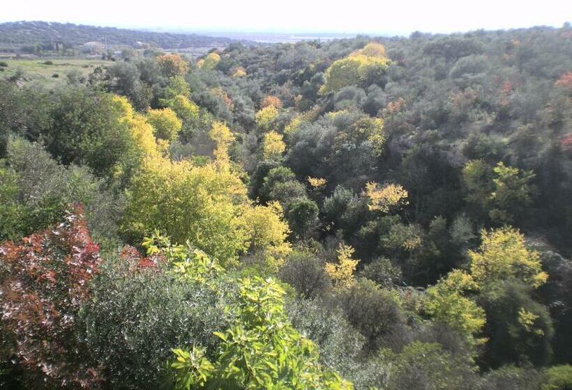 ２段ベッド付きスタンダードルーム, Centro De Naturaleza Cañada Verde El Parque De Naturaleza Con Mas Experiencias De Andalucía
