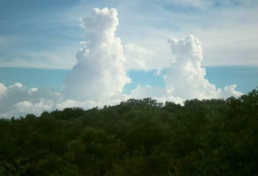 ２段ベッド付きスタンダードルーム, Centro De Naturaleza Cañada Verde El Parque De Naturaleza Con Mas Experiencias De Andalucía