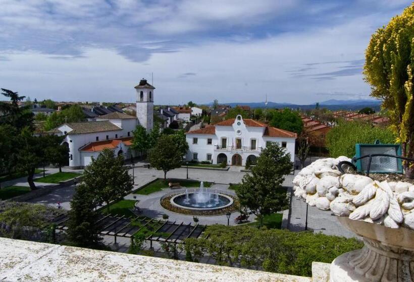 חדר סטנדרט יחיד, Don Angel