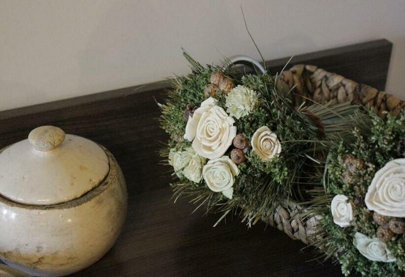 スタンダードルーム, El Abuelo De La Cachava