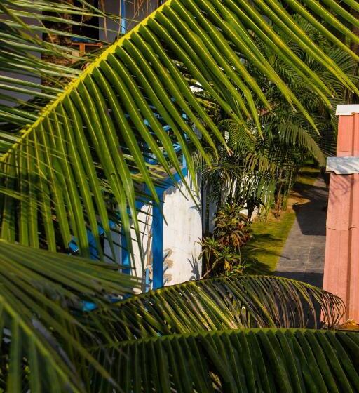 קוטג' דלוקס, New Common Home