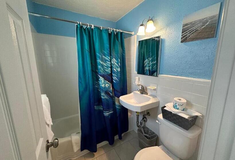 آپارتمان 1 خوابه با چشم‌انداز دریا, Ala Kai Resort Motel