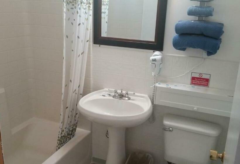 スタンダードルーム, American Inn Motel Canon City