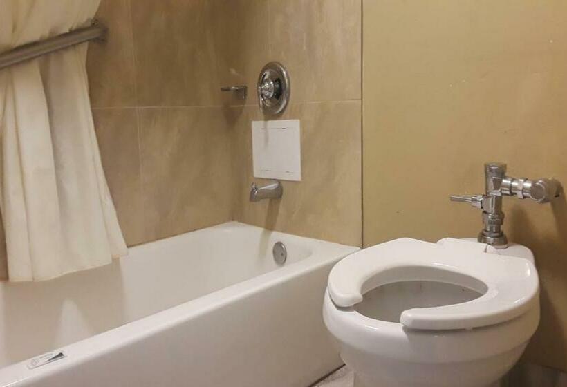 스탠다드 룸 킹사이즈 침대, OYO Hotel Tallahassee Downtown