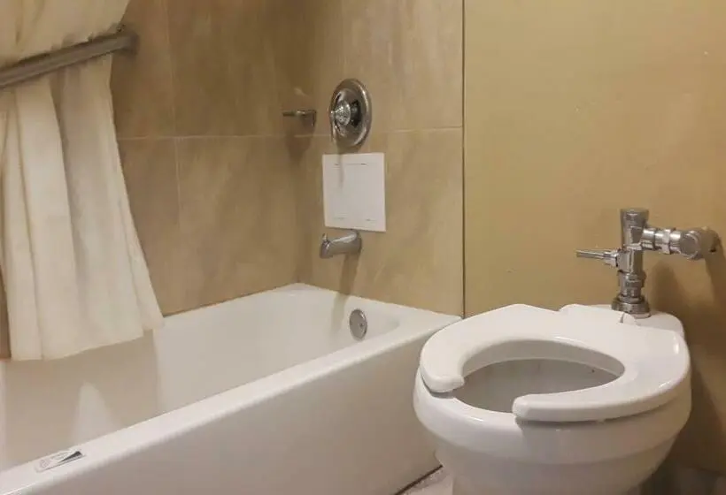 キングサイズベッドのデラックスルーム, OYO Hotel Tallahassee Downtown
