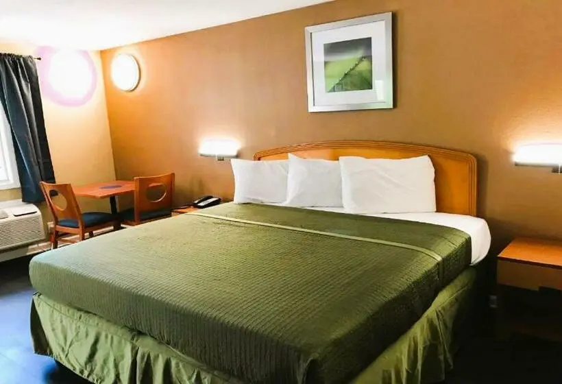 キングサイズベッドのデラックスルーム, OYO Hotel Tallahassee Downtown