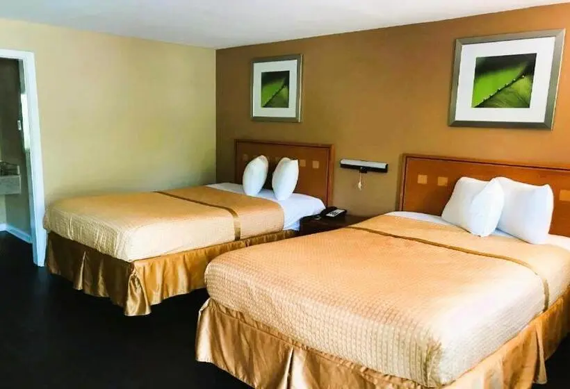 デラックスルーム, OYO Hotel Tallahassee Downtown