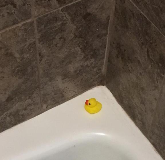 디럭스 스튜디오, Cardinal Inn