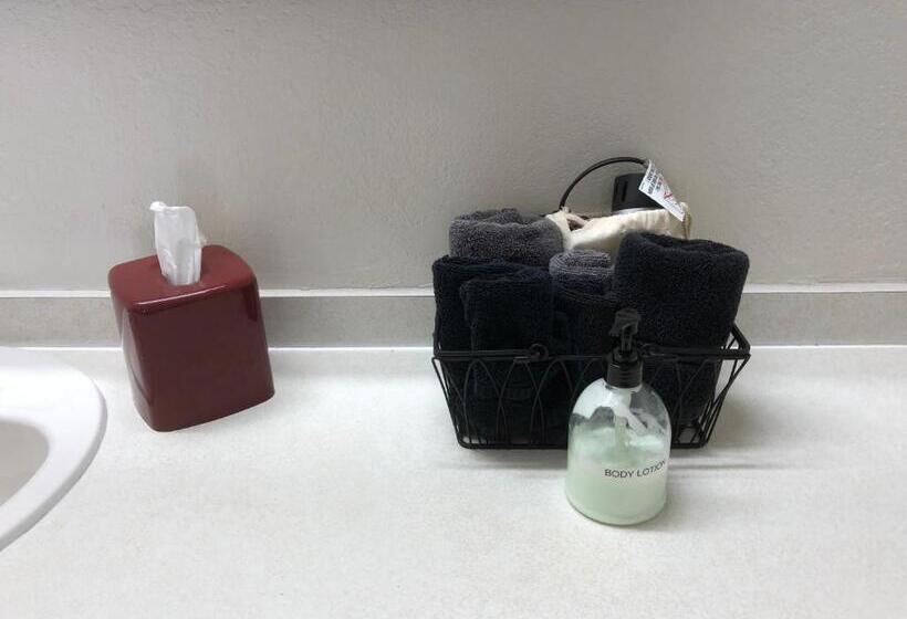 스탠다드 룸 킹사이즈 침대, Cardinal Inn