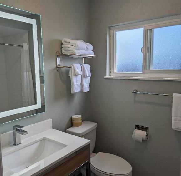 غرفة قياسية سرير كينج, Cielo House Inn   Paso Robles