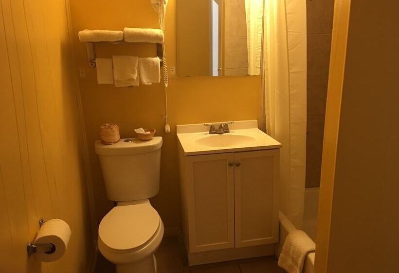 غرفة قياسية فردية, Royal Inn