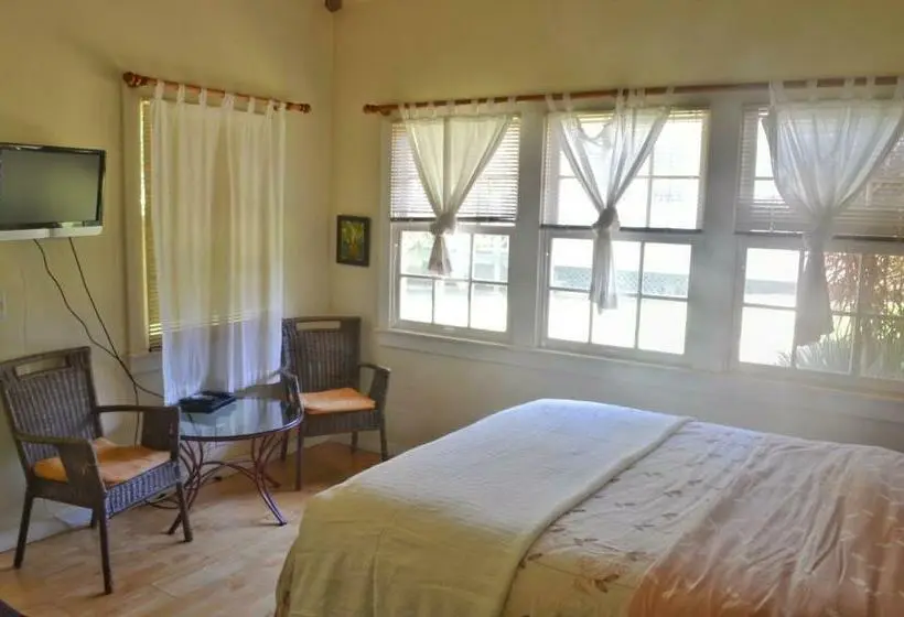 デラックススタジオ, Banyan Tree B&b Retreat