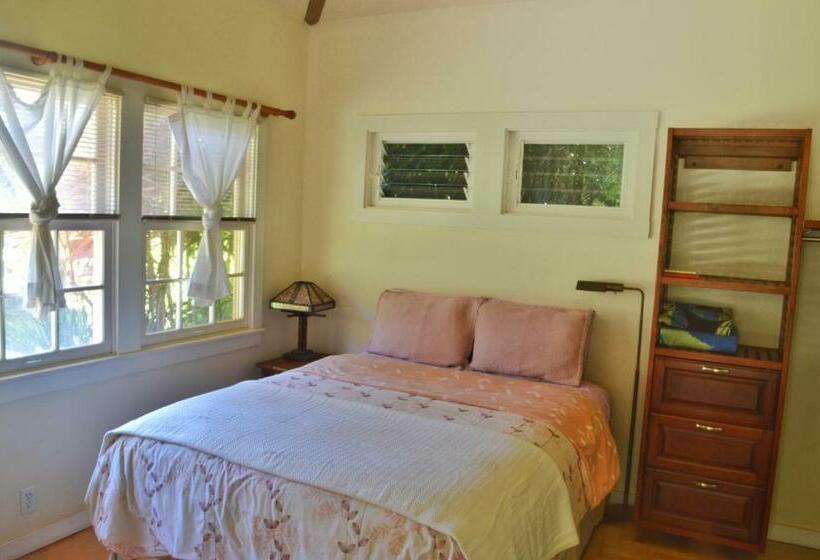 إستوديو ديلوكس, Banyan Tree B&b Retreat