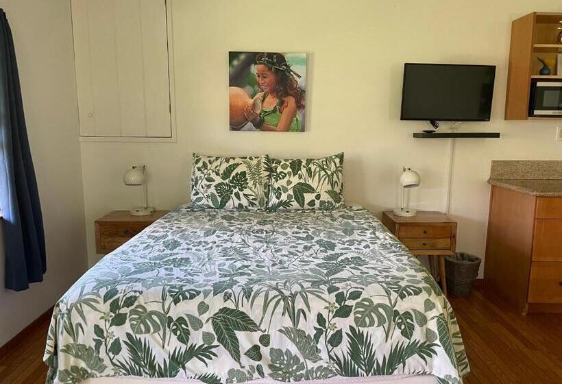 Стандартный Номер Кровать Кинг, Banyan Tree B&b Retreat