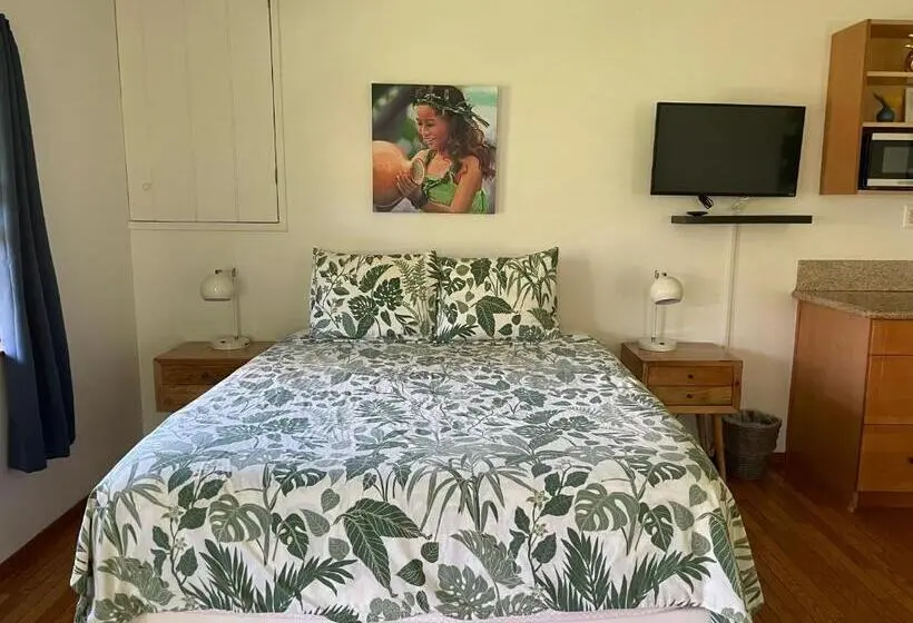 キングサイズベッドのスタンダードルーム, Banyan Tree B&b Retreat