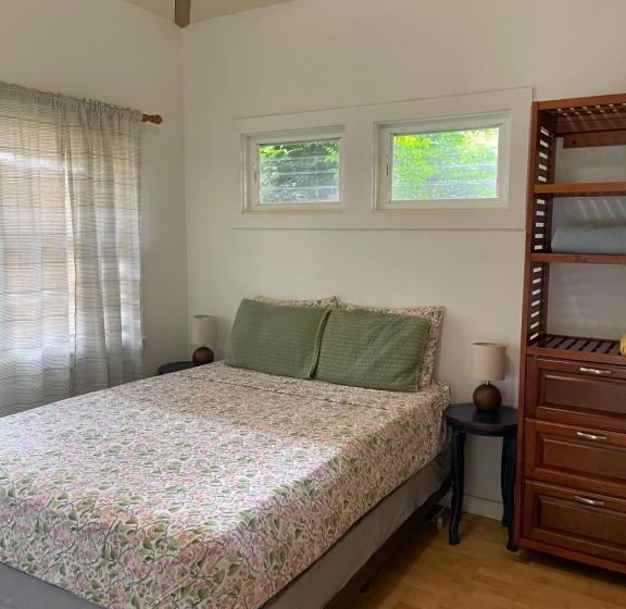 إستوديو ديلوكس, Banyan Tree B&b Retreat