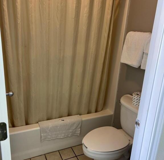 غرفة قياسية سرير كينج, Country Inn Motel