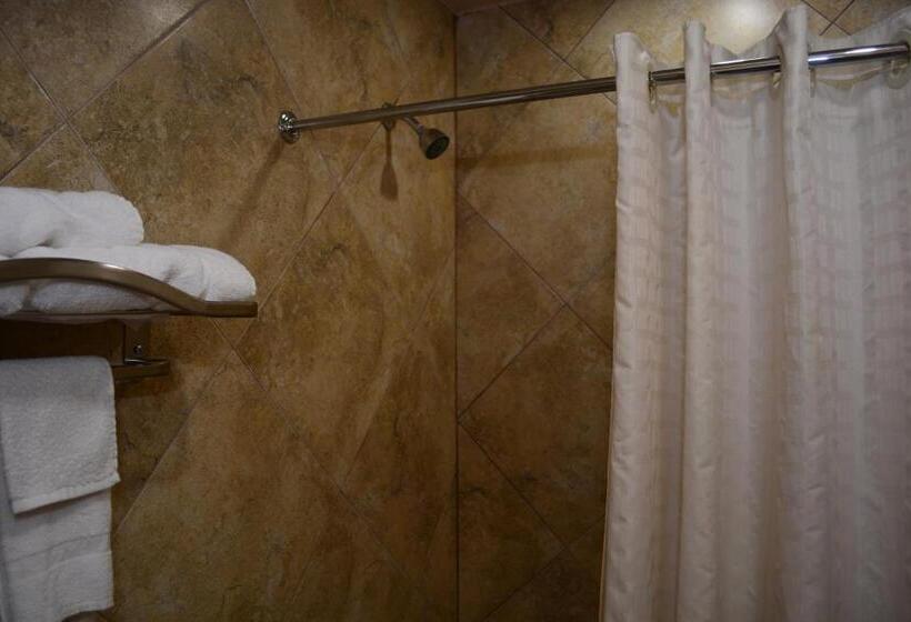 غرفة قياسية, El Camino Motel