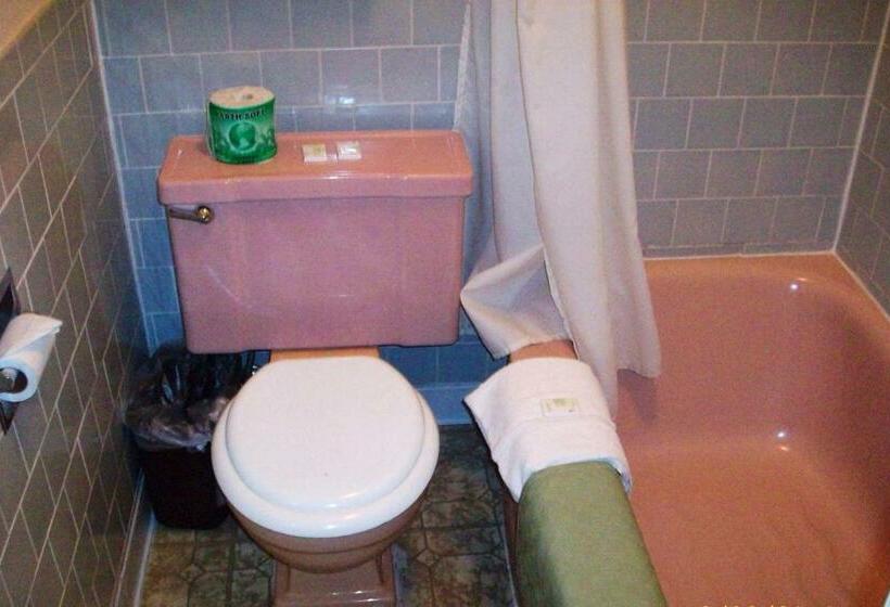 带2个双人床的标准工作室, Hilander Motel