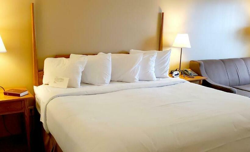 스탠다드 룸 킹사이즈 침대, Berlin Heritage Inn