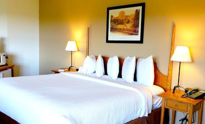 스탠다드 룸 킹사이즈 침대, Berlin Heritage Inn