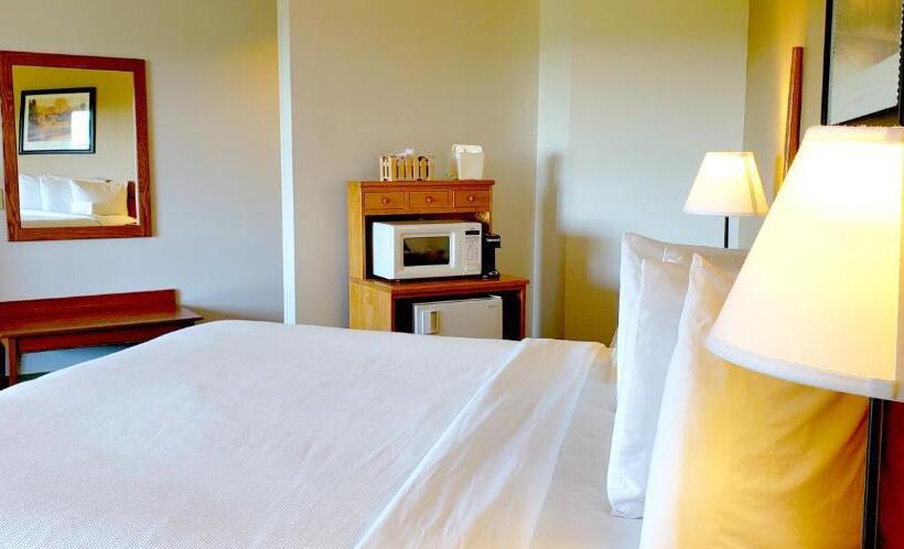 غرفة قياسية سرير كينج, Berlin Heritage Inn