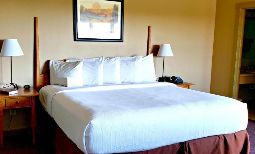 غرفة قياسية سرير كينج, Berlin Heritage Inn