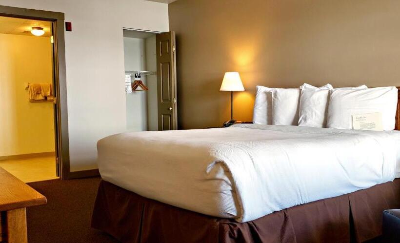장애인을 위한 스탠다드 룸, Berlin Heritage Inn