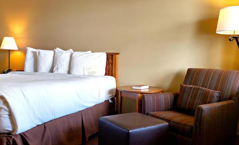 غرفة قياسية لذوى الاحتياجات الخاصة, Berlin Heritage Inn