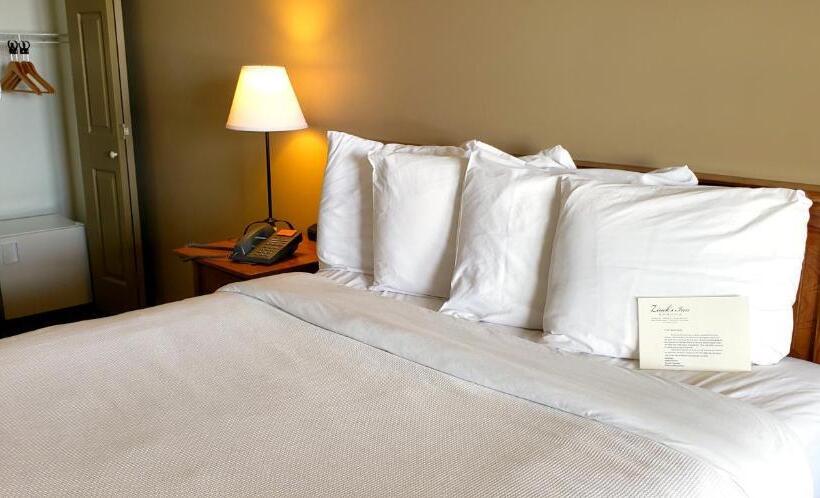 غرفة قياسية لذوى الاحتياجات الخاصة, Berlin Heritage Inn