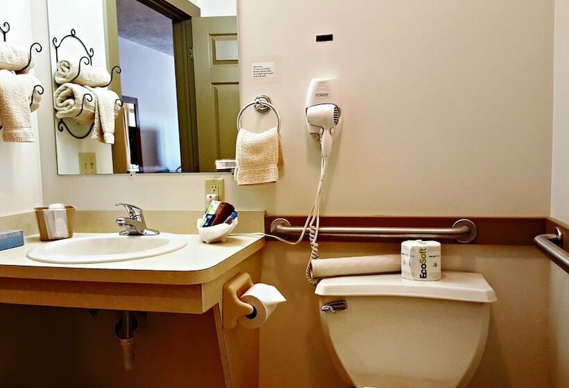 غرفة قياسية لذوى الاحتياجات الخاصة, Berlin Heritage Inn