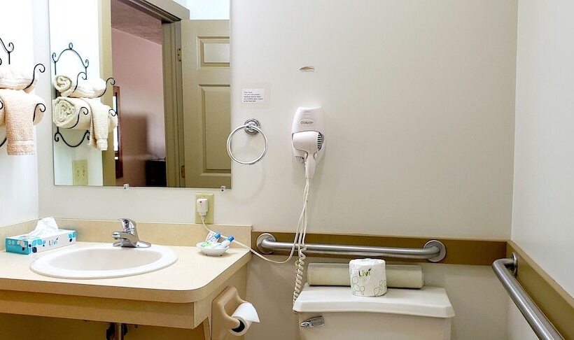 غرفة قياسية لذوى الاحتياجات الخاصة, Berlin Heritage Inn