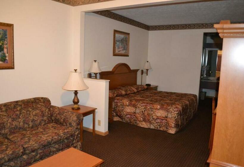 带大床的套房, Countryside Suites Omaha